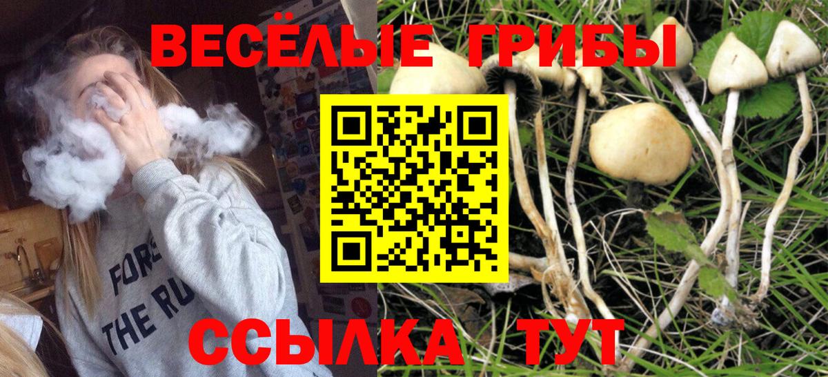 Галлюциногенные грибы Cubensis Лосино-Петровский